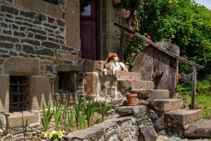 5 conseils essentiels pour acheter un logement ancien sans regrets
